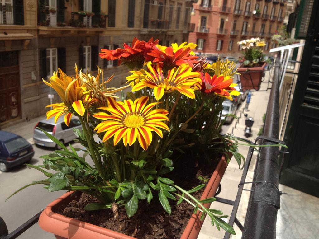 Alba Camere Palermo Exterior photo
